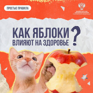  Как яблоки влияют на здоровье