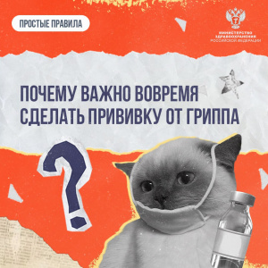 Почему важно вовремя сделать прививку от гриппа
