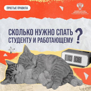 Сколько нужно спать студенту и работающему 