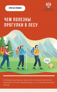 Чем полезны прогулки в лесу