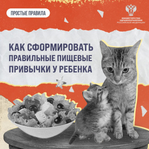 Как сформировать правильные пищевые привычки у ребенка