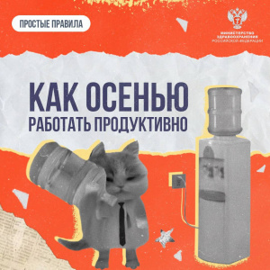 Как осенью работать продуктивно